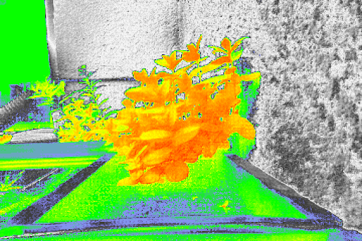 ndvi_normal.png